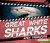 Great White Sharks: Apex Predators by Charlotte Taylor, 9781978522107
