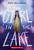 The Girl in the Lake - 9781338678895 by India Hill Brown, 9781338678895