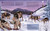 My Animal Family (Meet The Different Families of the Animal Kingdom) by Kate Peridot, 9780744070873