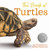The Book of Turtles by Sy Montgomery, Matt Patterson, 9780358458074