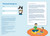 Brain Quest Workbook: 2nd Grade Revised Edition by Workman Publishing, Liane Onish, 9781523517367