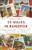 22 Walks in Bangkok (Exploring the City's Historic Back Lanes and Byways) by Kenneth Barrett, 9780804849159