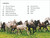 DK Super Readers Level 4 Horse Heroes - 9780744073317 by DK
