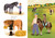 How to Love a Pony - 9780593483169 by Michelle Meadows, Sawyer Cloud