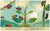 Bugs: A Peek-Through Picture Book by Britta Teckentrup, 9780593564585