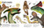 Our World in Pictures The Dinosaur Book by DK, 9780744081473