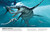 Our World in Pictures The Dinosaur Book by DK, 9780744081473