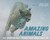 Amazing Animals (The Remarkable Things That Creatures Do) by Margriet Ruurs, W. Allan Hancock, 9780887769733