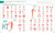 Spanish - English Illustrated Dictionary (A Bilingual Visual Guide to Over 10,000 Spanish Words and Phrases) by DK, 9780744080797