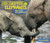 Eavesdropping on Elephants (How Listening Helps Conservation) - 9781728477794 by Patricia Newman, 9781728477794
