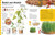 The Simple Science Activity Book (20 Things to Make and Do at Home to Learn About Science) by Jane Bull, 9780744080421