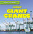 Great Giant Cranes - 9781538283059 by Natalie Humphrey, 9781538283059