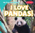 I Love Pandas! - 9781538283370 by Beth Gottlieb, 9781538283370