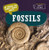 20 Things You Didn't Know About Fossils by Marie Morrison, 9781538389683