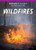 Wildfires - 9781499473605 by Theresa Emminizer, 9781499473605