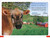 DK Super Readers Pre-Level English-Spanish Bilingual Farm Animals â€“ Los animales de la granja by DK, 9780744083743