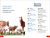 DK Super Readers Pre-Level English-Spanish Bilingual Farm Animals â€“ Los animales de la granja - 9780744083750 by DK