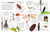 Eyewitness Insect - 9780744081572 by DK