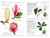 Trees - 9780744074208 by DK