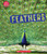 Feathers (Learn About: Animal Coverings) - 9781338898002 by Eric Geron, 9781338898002