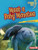 Meet a Baby Manatee by Tamika M. Murray, 9781728491097