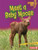 Meet a Baby Moose by Tamika M. Murray, 9781728491134 Meet a Baby Moose by Tamika M. Murray, 9781728491134