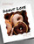Donut Love (60 Versatile Recipes for Every Kind of Craving) by Sloane Papa, 9781645679219