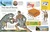 Eyewitness Encyclopedia of Everything (The Ultimate Guide to the World Around You) by DK, 9780744084702