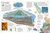 The Oceans Atlas (A Pictorial Guide to the World's Waters) by DK, Luciano Corbella, 9780744069693