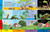 1000 Bilingual Words Animals - 1000 palabras bilingues animales by DK, 9780744089202