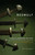 Beowulf (A Dual-Language Edition) by Howell D. Chickering, 9781400096220