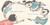 Alma and Her Family/Alma y su familia by Juana Martinez-Neal, Juana Martinez-Neal, 9780763693626