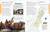 American History (A Visual Encyclopedia) by DK, 9780744056198