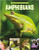 Amphibians - 9781039800229 by Tracy Vonder Brink, 9781039800229