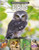 Birds - 9781039800830 by Tracy Vonder Brink, 9781039800830
