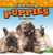 Counting Puppies by Taylor Farley, 9781039661981 Counting Puppies by Taylor Farley, 9781039661981