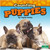 Counting Puppies - 9781039660038 by Taylor Farley, 9781039660038