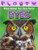 Eyes - 9781039646315 by Amy Culliford, 9781039646315