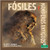 Fósiles y animales marinos (Fossils and Sea Animals) by Alan Walker, 9781039648319 Fósiles y animales marinos (Fossils and Sea Animals) by Alan Walker, 9781039648319