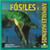 Fósiles y animales marinos (Fossils and Sea Animals) - 9781039649583 by Alan Walker, 9781039649583 Fósiles y animales marinos (Fossils and Sea Animals) - 9781039649583 by Alan Walker, 9781039649583