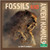 Fossils and Ancient Mammals - 9781039646698 by Julie K. Lundgren, 9781039646698