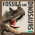 Fossils and Dinosaurs - 9781039646711 by Julie K. Lundgren, 9781039646711