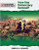 How Has Democracy Evolved? by Rebecca Sjonger, 9781039663817