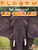 Les oreilles (Ears) by Amy Culliford, 9781039688094