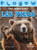 Les pieds (Feet) by Amy Culliford, 9781039688100