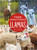 Llamas - 9781039659650 by Amy Culliford, 9781039659650