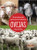 Ovejas (Sheep) by Amy Culliford, Santiago Ochoa, Gilda Kupferman, 9781427134479