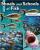 Shoals and Schools of Fish - 9781039806818 by Rachel Stuckey, 9781039806818