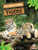 Tigers - 9781039659674 by Amy Culliford