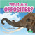 What Are Opposites? by Miranda Kelly, Amy Culliford, 9781427128546